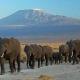 4-tage-tsavo-ost-west-amboseli