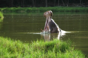 9-tage-magisches-kenia