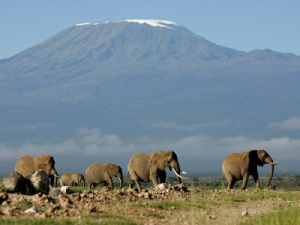amboseli-national-park