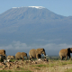 amboseli-national-park