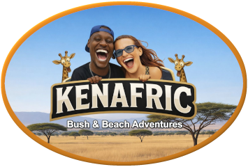 Kenya Wildlife Safaris