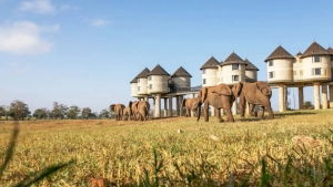 saltlick-lodge-taita-hills