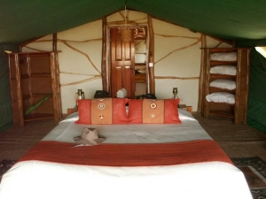 satao-camp